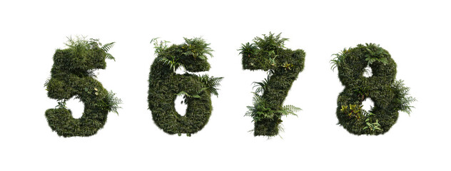  font And numbers decorated with tropical plants on a white background.