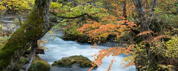 Nature Background Very Cool