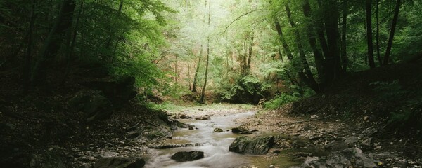 Obraz premium Nature Background Very Cool