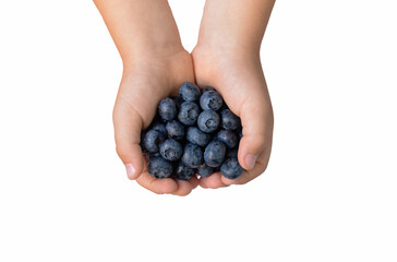 Blueberryis a berry native to North America, a source of vitamins and antioxidants.