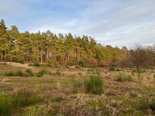 Wahner Heide