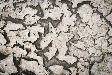 Dried desert land. Cracks in the ground. Dehydrated soil.