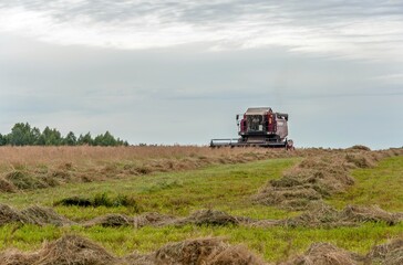 The harvester mows the grass during the haymaking period