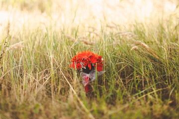 Colorful wedding bouquet in the green grass