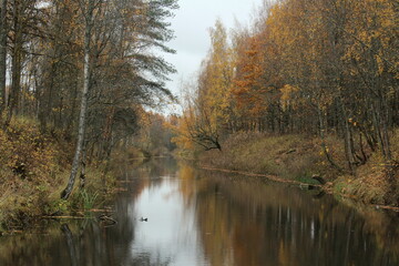 Fototapeta na wymiar Autumn sepia forest and lake