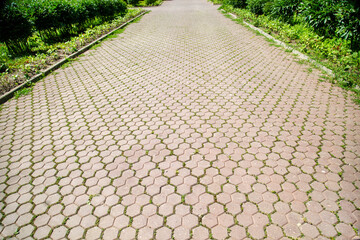 A sidewalk made of hexagonal artificial tiles extending into the distance in gray with a green...