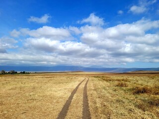 Obraz premium road to the sky