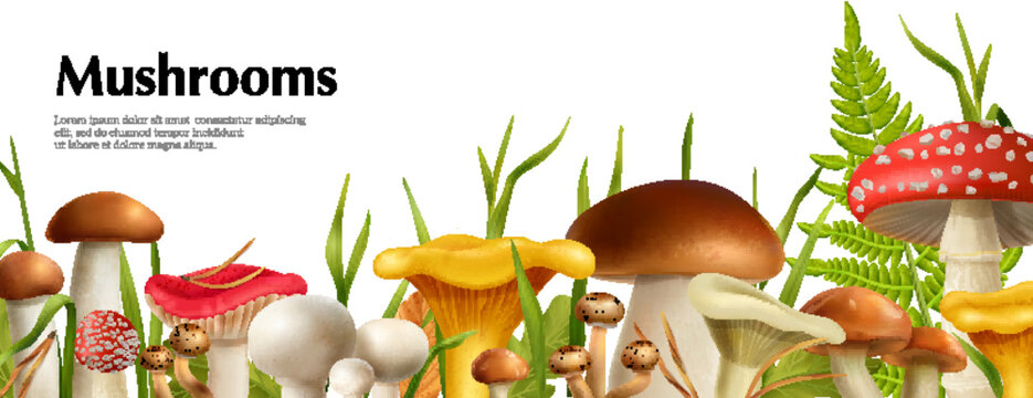 Mushrooms Realistic Horizontal Poster