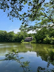 Obraz premium 新緑の湖畔