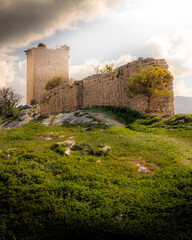 Landscape of an ancient castle in ruins covered by the natural environment in which it is located.