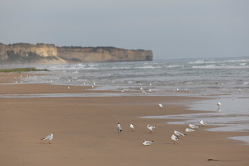 Omaha Beach in Normandy, one of the most important places of the second world war