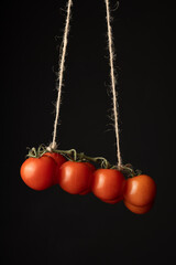 Tomatoes hang on a rope on a dark background