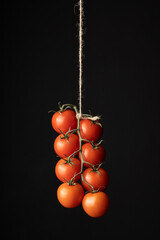 Tomatoes hang on a rope on a dark background