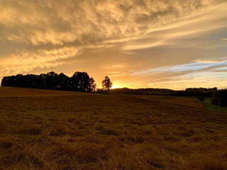 Wide stubble field, twilight, dark group of trees with setting sun in the horizon, sky with dramatic light clouds
