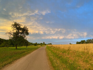 Fototapeta na wymiar Narrow country road, green strip of grass, golden harvested cornfield - stubble field, sky with great churning white , Meadow , clouds