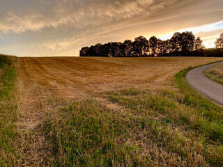 Green section of meadow, a country road runs to the side, stubble field runs to a group of trees on the horizon, sky
