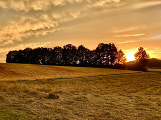 Field landscape in the evening light - meadow with hay, harvested grain field, straw, tree, sun, horizon, sky, clouds