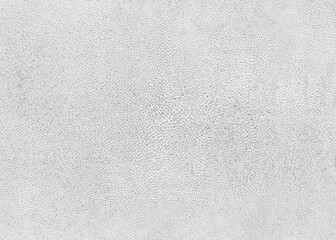 Abstract white shagreen stingray skin texture