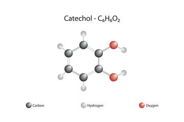Molecular formula and chemical structure of catechol