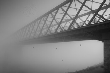 Steel bridge in the fog and flying birds