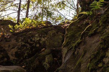 rocks in the Carpathian mountains of Ukraine