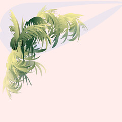 Pink background with tropical palm tree leaves 