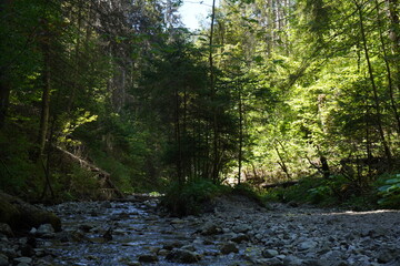 hiking trail in slovakia called Sucha Bela, Europe
