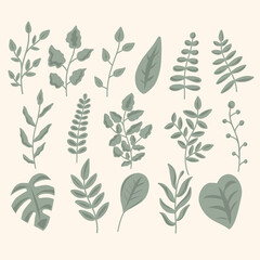 Set of green leaves in different types hand drawn