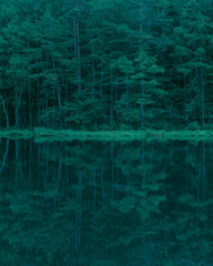 lake reflecting forest