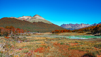 Hiking trail to the Esmeralda lake through magical colorful austral forests, peat bogs, dead trees, glacial streams and high Andes mountains in Tierra del Fuego National Park, Patagonia, Argentina.