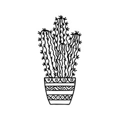 Doodle cactus in pot. Hand-drawn vector illustration