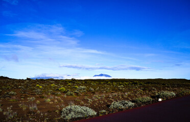 Rouge, vert et nuage