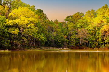 Sunrise in the forest at Loei Province, Thailand.
