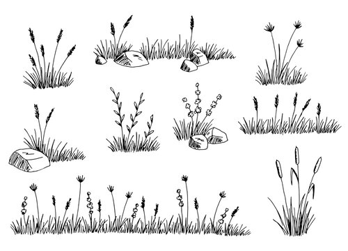 Grass set graphic black white isolated sketch illustration vector 