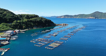 漁業・養殖のイメージ / 愛媛県愛南町の養殖場