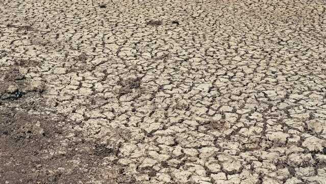 Video background of drought in summer in warm weather on bottom of the lake.