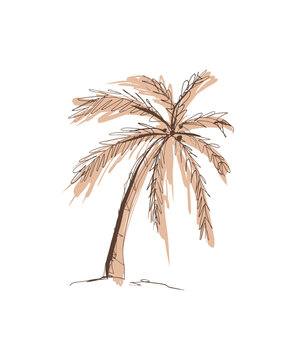 Lovely Hand Drawn Tropical Landscape vector Ilustration with Brown-Beige Palm Tree on a White Background. Single Sketched Palm Tree Print ideal for Wall Art, Card, Poster. Exoctic Vacation Design.