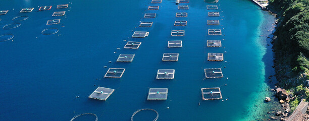 漁業・養殖のイメージ / 愛媛県愛南町の養殖場