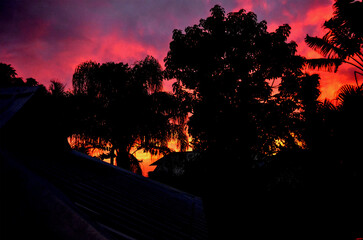 Ciel flamboyant