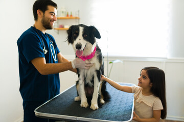 Cheerful vet treating a border collie dog at the animal clinic