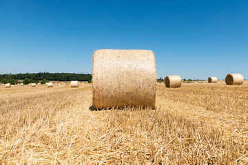 straw bales on a field agriculture