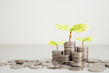 coins stack with plant green leaves growth on top coin on white background. financial, investment and money saving concept. ESG Environmental Social Governance. startup.