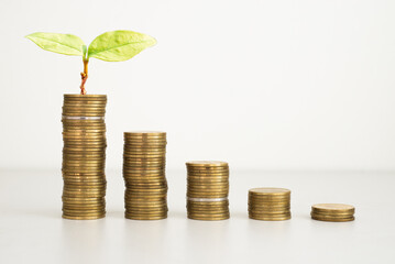 coins stack with plant green leaves growth on top coin on white background. financial, investment and money saving concept. ESG Environmental Social Governance. startup.