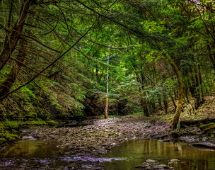 Fototapeta na wymiar Very low water levels due to a summer-long drought in Windsor in Upstate NY make it possible to walk further upstream in Sage Creek. Tranquil area that usually is under 2 feet of water.