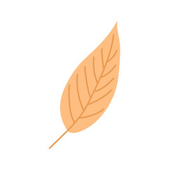 Autumn Leaves Doodle style Cozy autumn. Flat vector illustration