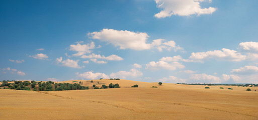 hilly landscape with dry fields, portugal