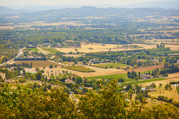 Aerial Mediterranean landscape with cypresses, olive trees and vineyards in Provence, Southern France