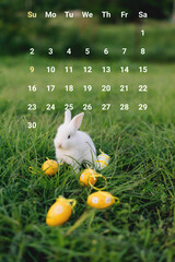 White Easter bunny collects yellow eggs sitting on the grass. Happy Easter. Vertical photo.