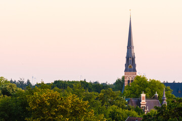 Fototapeta premium Cityscape small northern european city. European cathedral tower surrounded by green trees at sunset. Breda, the Netherlands
