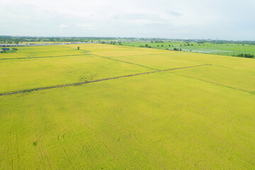 Obraz premium field background, top view landscape, nature